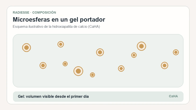 Composición de Radiesse: microesferas de hidroxiapatita de calcio suspendidas en gel, bioestimulador inyectable